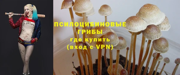 винт Аркадак