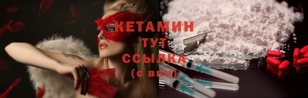 тгк Новозыбков