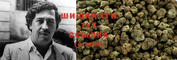 винт Аркадак