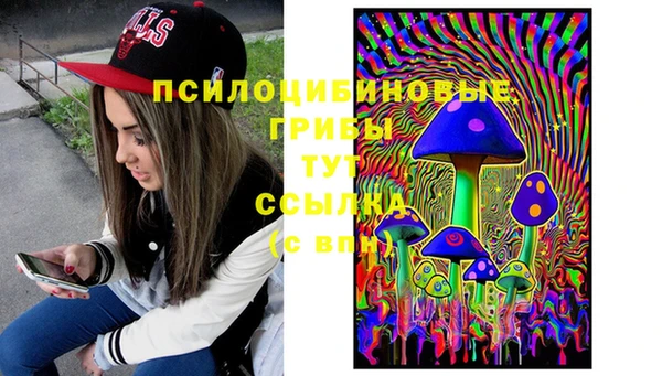 винт Аркадак